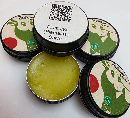 Plantains Salve